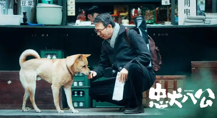 搜狐视频在国外遇到地域限制怎么办